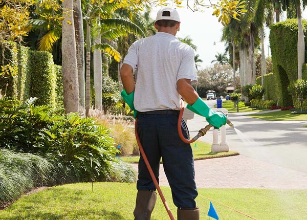 About Fairton NJ Pest Control Pros